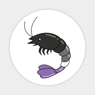 Pride Shrimp Ace Magnet